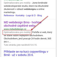 Mobilní vyhledávání - Google