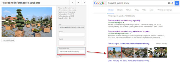 SEO tip - popište obrázky pro Google a Seznam