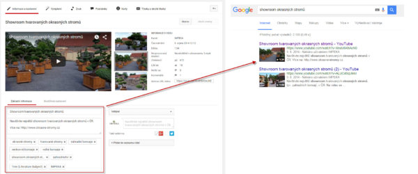 SEO tip - publikujte a popište videa pro Google