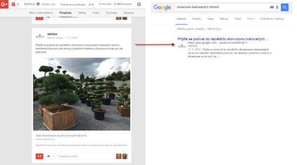 SEO tip - publikujte příspěvky na Google Plus